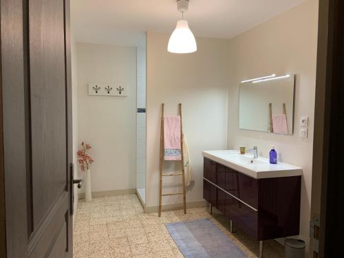 une salle de bain avec un lavabo et un miroir dans l'établissement Maison de campagne bourguignonne 19ème entièrement rénovée, à Chaumot