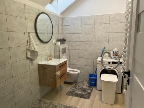 a bathroom with a toilet and a sink and a mirror at Apartament Brzóza Królewska in Brzóza Królewska