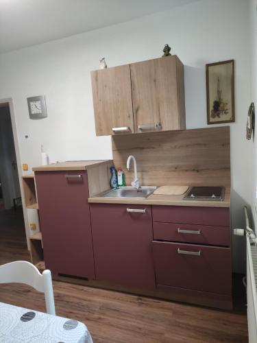 una cocina con fregadero y armarios de madera en Apartments Irena, en Kranjska Gora