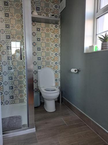 La salle de bains est pourvue de toilettes et d'une douche en verre. dans l'établissement Gormanstown House Apt, The Island, à Tullamore