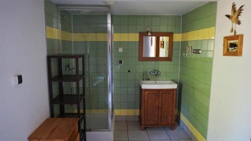 UhryńにあるDom w Uhryniuのバスルーム(シンク、シャワー付)