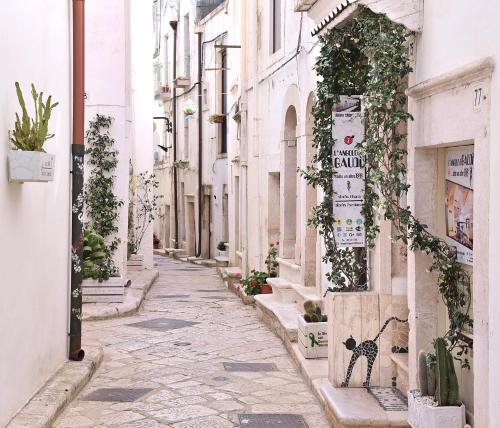 an alley in an old town with a cat painted on it at l'angolo di Gaudì, alcoba Blanca in Putignano