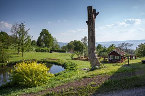 a park with a pond and a tree at Brunstorpsgård Bränneriet in Huskvarna