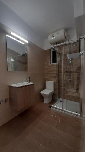 a bathroom with a toilet and a sink and a shower at Tasias apartments in Lixouri