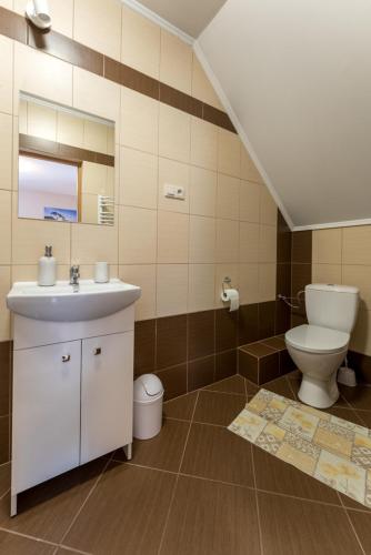 a bathroom with a toilet and a sink at Willa Limba in Krościenko
