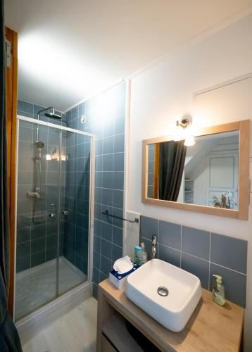 a bathroom with a sink and a shower with a mirror at L'Oiseau De La Cathédrale - Calme - Jardin - Wifi in Troyes