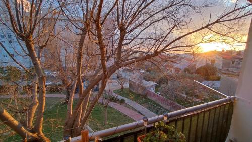 a view of a tree from a balcony of a house at Apartment Sunrise in Dugi Rat