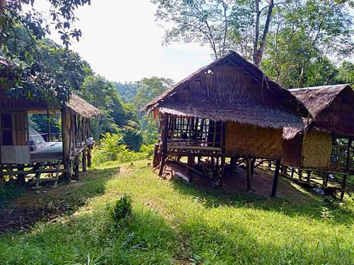 um par de pequenos edifícios com telhados de relva em ORANGUTAN TREKKING LODGE Jungle Tour Only Book with Us em Bukit Lawang
