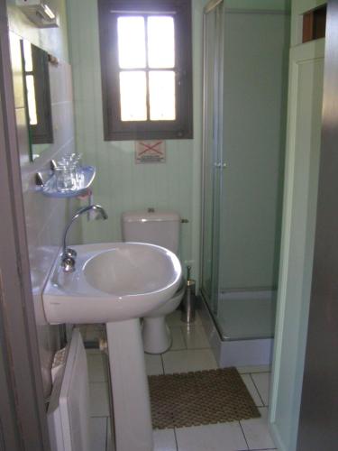 une salle de bain avec un lavabo, des toilettes et une douche dans l'établissement Domaine de Vaulatour., à Payzac