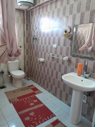 a bathroom with a sink and a toilet at Rural Guest House فندق البيت الريفي in Tanta