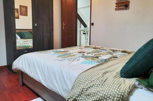 Ένα ή περισσότερα κρεβάτια σε δωμάτιο στο Villa confortable avec Jacuzzi à Chevannes