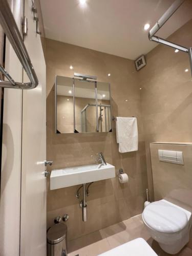 a bathroom with a toilet and a sink and a mirror at Brela Beachfront in Brela