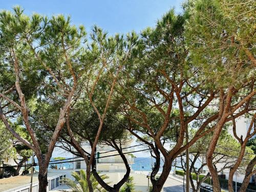 Příroda nedaleko prázdninového domu