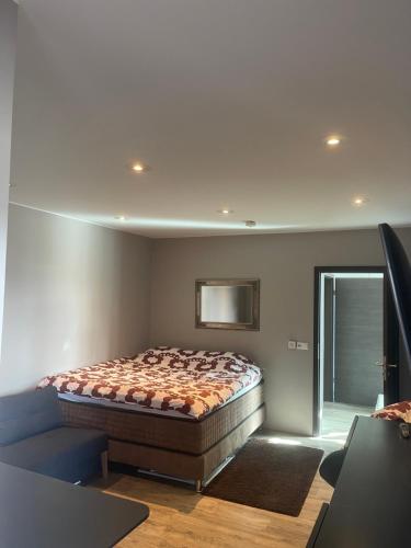 モスフェットルスバイルにあるPrivate luxury Villaのベッドルーム1室(ベッド1台、壁掛けテレビ付)