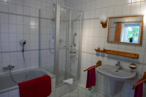 a bathroom with a shower and a sink at Ferienwohnung Am Wieh in Harsefeld