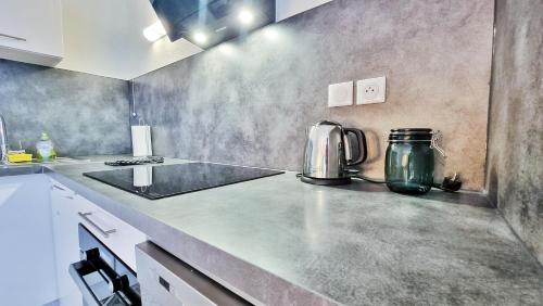 kuchnia z blatem z urządzeniem w obiekcie Le SMART - Parking - Terrasse - Wifi - Mulhouse - Relax BNB w mieście Pfastatt