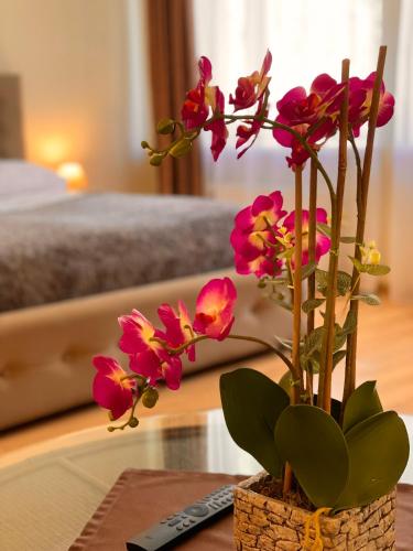 Ένα ή περισσότερα κρεβάτια σε δωμάτιο στο SPA&Hotel MŪSA PARADISE