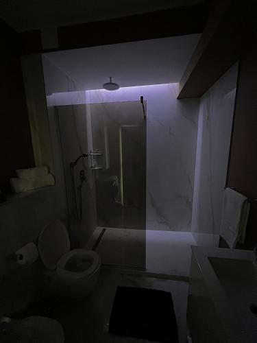 a bathroom with a shower and a toilet in a dark room at CSO Luxury Residence in Mamaia