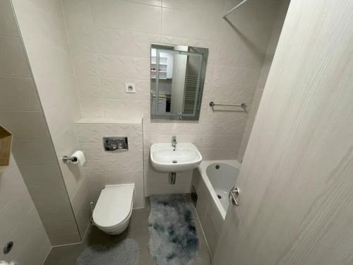 a white bathroom with a toilet and a sink at Vera's place in Novi Sad