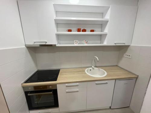uma pequena cozinha com um lavatório e um fogão em Vera's place em Novi Sad