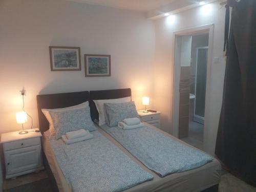 een slaapkamer met een bed met 2 kussens en 2 lampen bij Sobe Zeravica Sremski Karlovci in Sremski Karlovci