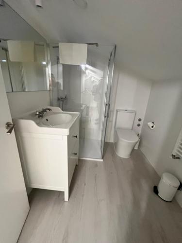 a bathroom with a sink and a shower and a toilet at Villa Trap in Guadalix de la Sierra