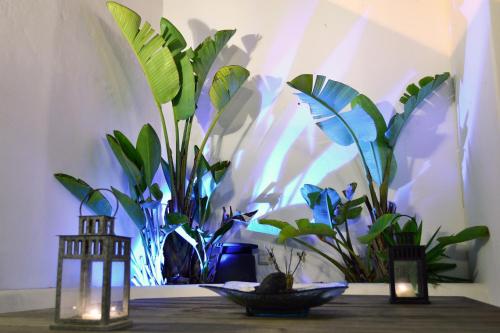 a table with two candles and plants in a room at Finca del Moral in Tinajo