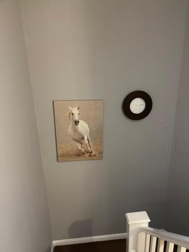 a picture of a white dog hanging on a wall at Southend Lane Suites in Forest Hill
