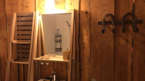 a bathroom with a mirror and a wooden wall at Gîte d'étape Bastide Petra Castellana Verdon in Castellane