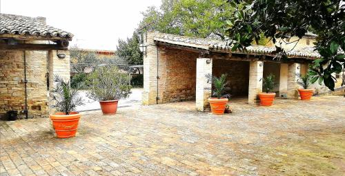 a group of potted plants on a brick courtyard at camere in Villa Luzi in Treia