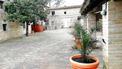 an empty courtyard with potted plants in a building at camere in Villa Luzi in Treia