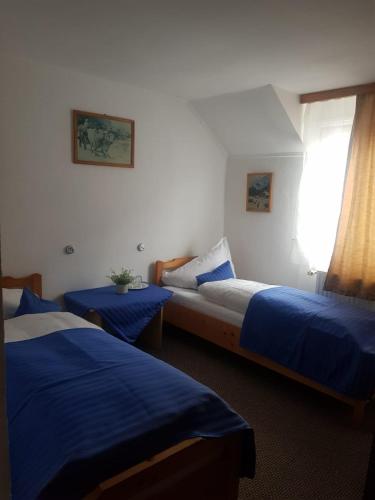 ラシュノフにあるPensiunea Casa Munteanu Râșnovのベッドが2つと窓があるホテルの部屋