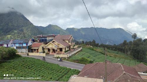 a house on the side of a road next to a mountain at Tengger Indah Bromo by ABM in Bromo