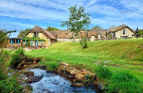 une maison sur une colline avec un ruisseau devant elle dans l'établissement Bearslake Inn, à Bridestowe