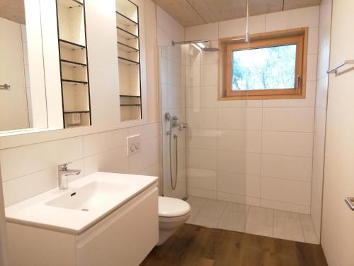 a bathroom with a sink and a toilet and a shower at Easy-Living Kriens Apartments in Lucerne