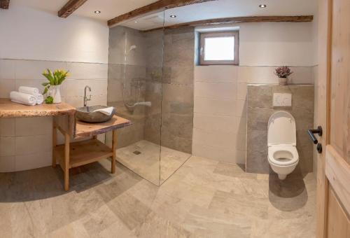 a bathroom with a toilet and a sink and a shower at Wildauhof - Alm in Fügenberg