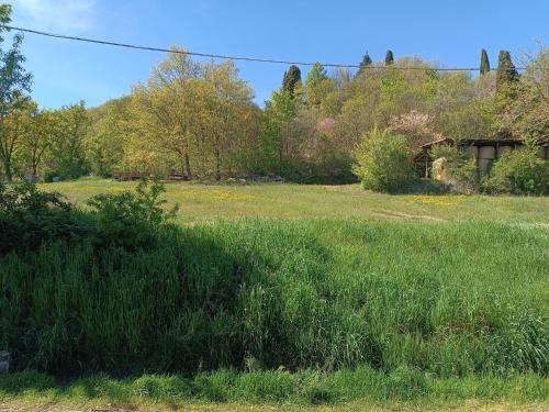 a field of tall grass with a house in the background at Anime Salve B&B HOME RESTAURANT 