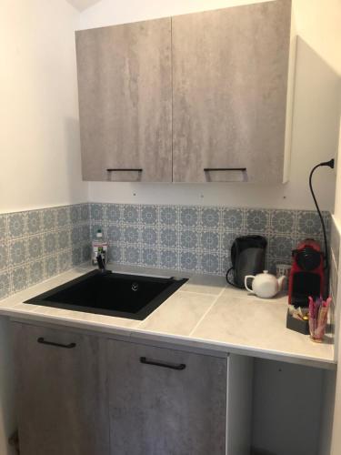 a kitchen with a sink and a counter top at Au Petit C'Alain in Toulouse