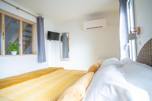 a bedroom with a bed with a window and a tv at Le jardin des 4 saisons in Le Mans