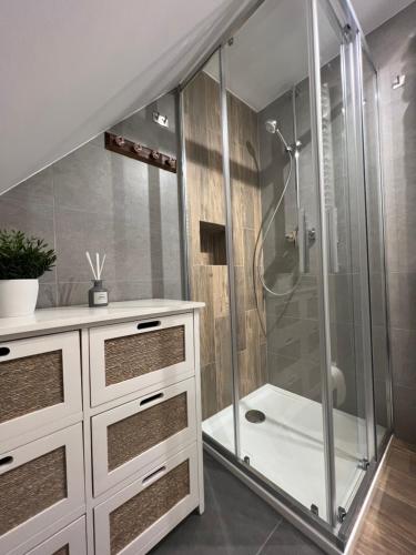a bathroom with a shower with a glass shower stall at Apartament Miasteczko in Kazimierz Dolny