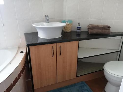 a bathroom with a sink and a toilet at Cowrie Lodge at Cove Rock Country Estate in East London