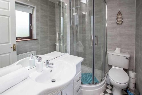 a bathroom with a sink and a shower and a toilet at Sleepy Rock in Dungarvan