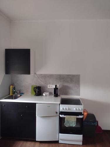 Apartmány Borskáにあるキッチンまたは簡易キッチン