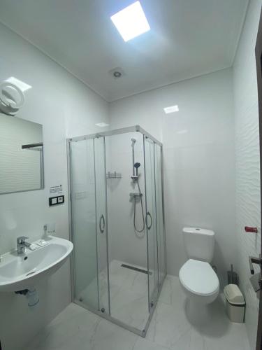 a bathroom with a shower and a toilet and a sink at RIVER SIDE in Polyana