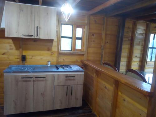 cocina con armarios de madera y encimera en HOTEL CABAÑAS SANTO TOMAS, en Paipa