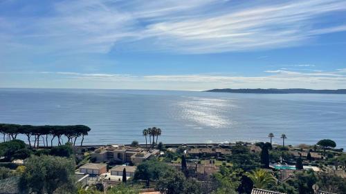 a large body of water with palm trees and houses at Clos de la Madrague in Sainte-Maxime