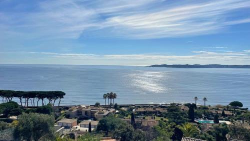 une grande étendue d'eau avec des palmiers et des maisons dans l'établissement Clos de la Madrague, à Sainte-Maxime