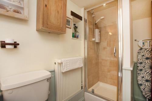 een badkamer met een toilet en een douche bij Honey Barrel Cottage in Stiffkey