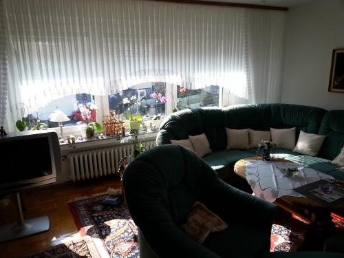 sala de estar con sofá verde y ventana en Hainbuche, en Schauenburg