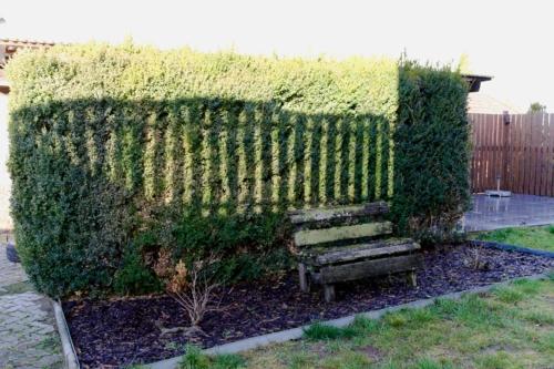 a hedge fence with a bench in a garden at Ferienwohnung Am Steigerwaldrand in Sugenheim